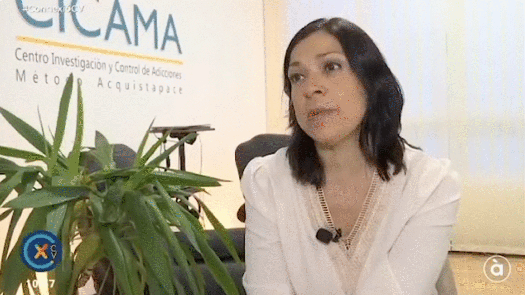 Entrevista de À Punt realizada en CICAMA